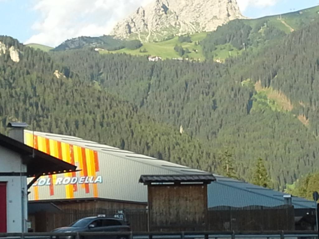 Appartamento Niki Campitello Campitello di Fassa Eksteriør billede