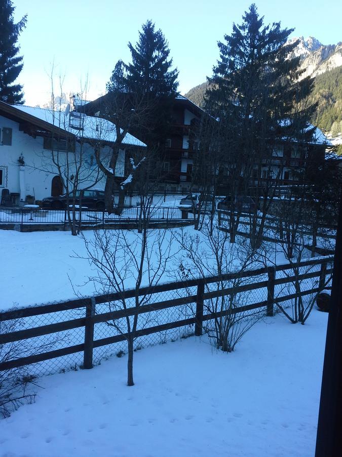 Appartamento Niki Campitello Campitello di Fassa Eksteriør billede